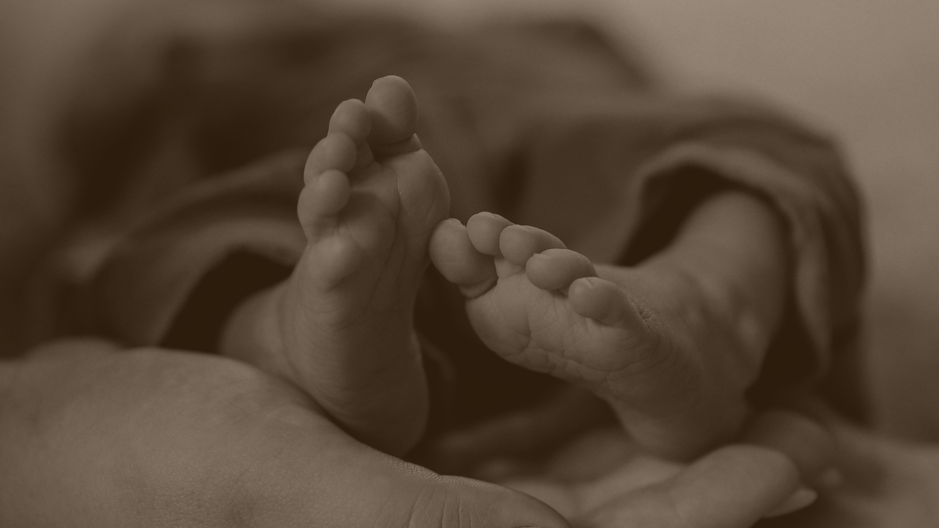Babyfüße ruhen in einer Hand