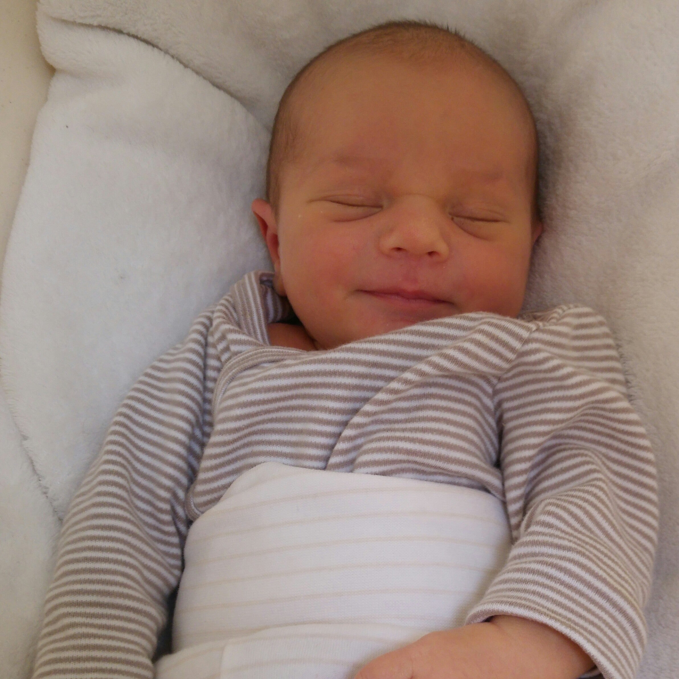 Baby Matratze für Wombagee Federwiege