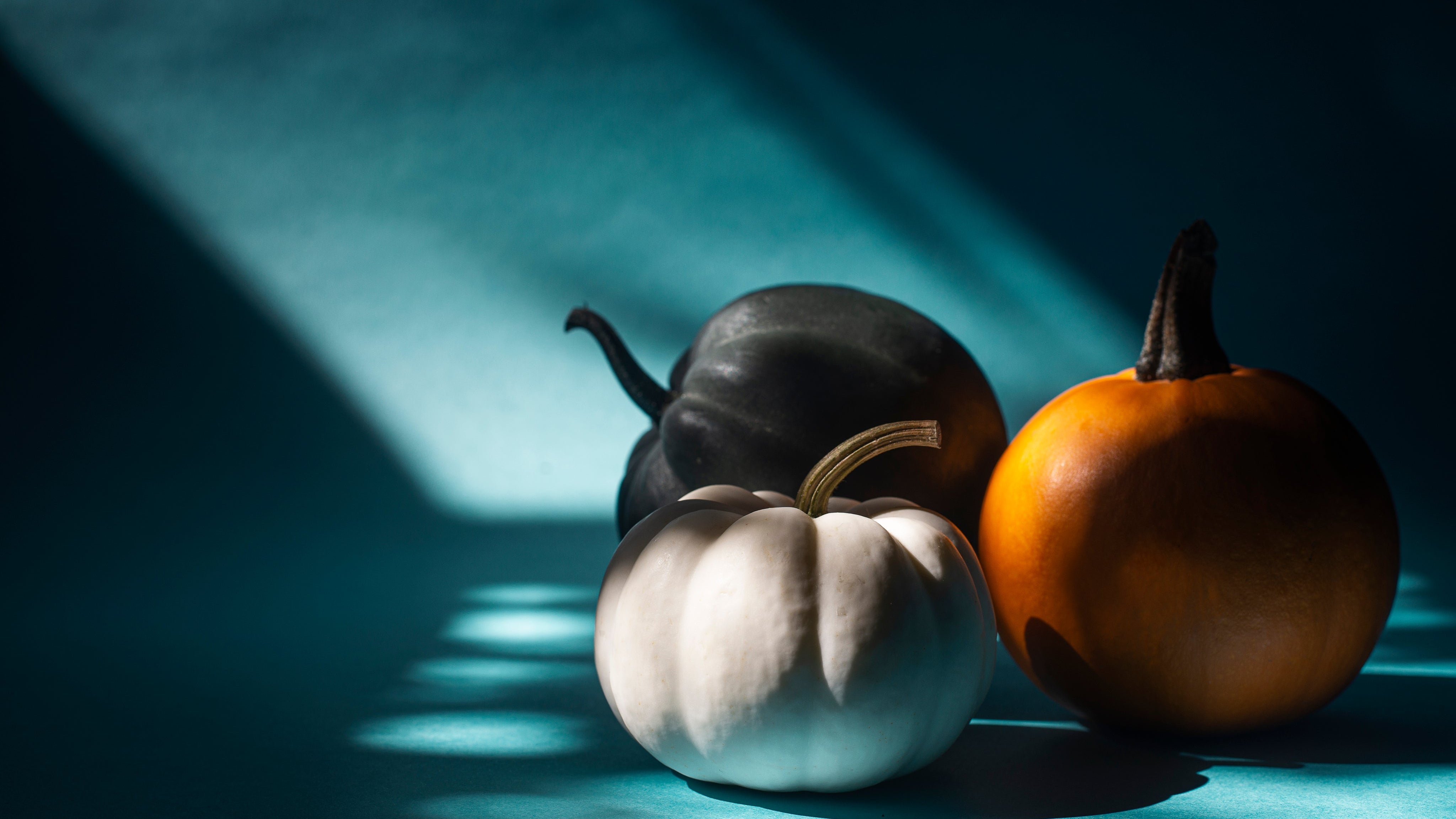 three-mini-pumpkins-in-a-beam-of-sunlight